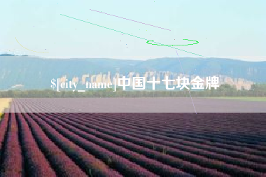 广东中国十七块金牌 广东中国十七块金牌