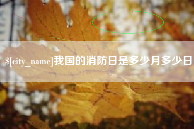 广东我国的消防日是多少月多少日