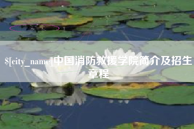 广东中国消防救援学院简介及招生章程