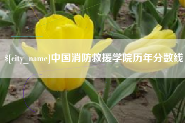 广东中国消防救援学院历年分数线