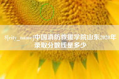 广东中国消防救援学院山东2020年录取分数线是多少