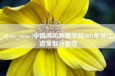 广东中国消防救援学院2021年浙江省录取分数线