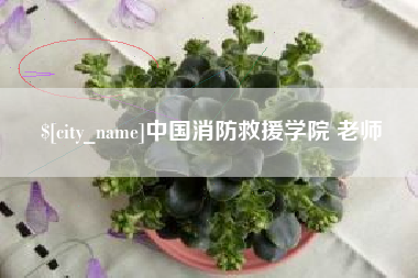 广东中国消防救援学院 老师