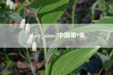 广东中国第9金