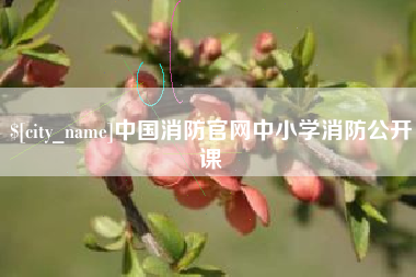 广东中国消防官网中小学消防公开课