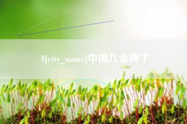 广东中国几金牌了