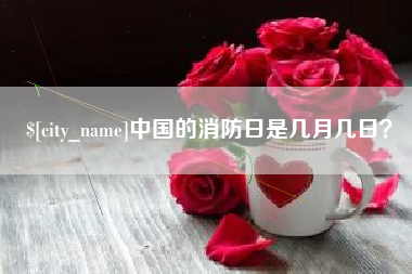 广东中国的消防日是几月几日？