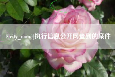 广东执行信息公开网查到的案件