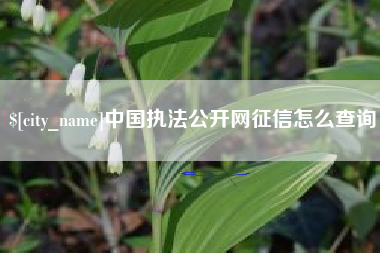 广东中国执法公开网征信怎么查询