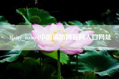 广东中国消防网官网入口网址
