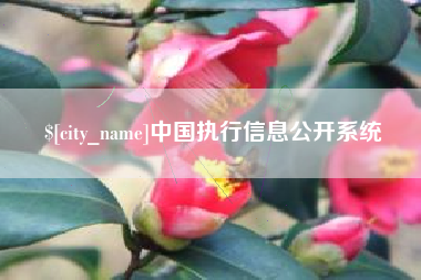 广东中国执行信息公开系统