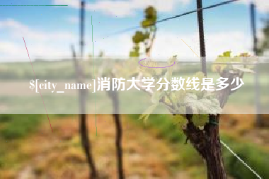 广东消防大学分数线是多少