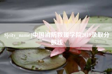 广东中国消防救援学院2019录取分数线