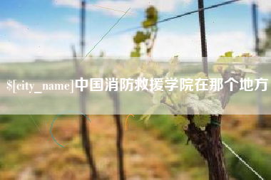 广东中国消防救援学院在那个地方
