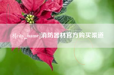 广东消防器材官方购买渠道
