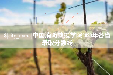 广东中国消防救援学院2020年各省录取分数线