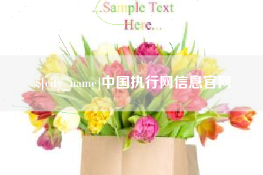 广东中国执行网信息官网