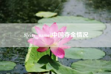 广东中国夺金情况