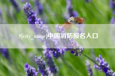 广东中国消防报名入口