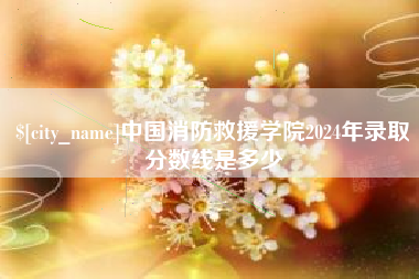 广东中国消防救援学院2024年录取分数线是多少