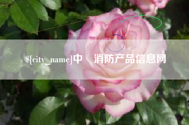 广东中囯消防产品信息网