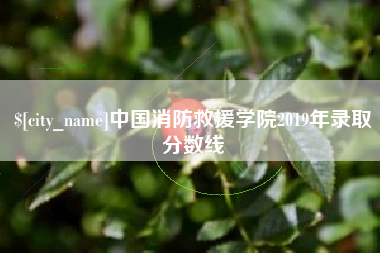 广东中国消防救援学院2019年录取分数线 广东中国消防救援学院2019年录取分数线