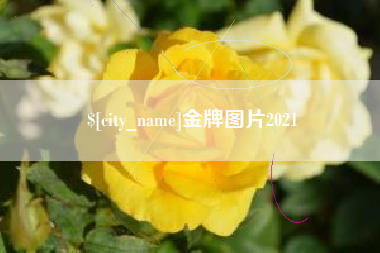 广东金牌图片2021
