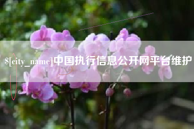广东中国执行信息公开网平台维护