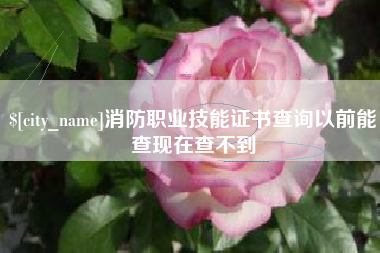 广东消防职业技能证书查询以前能查现在查不到