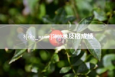 广东5000米及格成绩