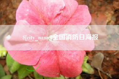 广东全国消防日海报