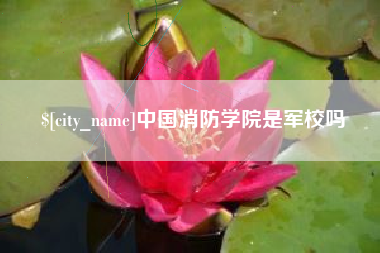 广东中国消防学院是军校吗
