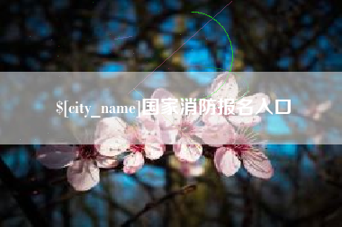 广东国家消防报名入口