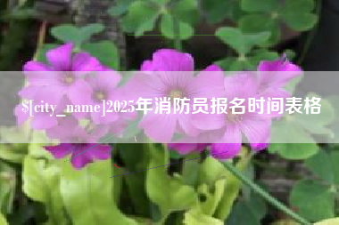 广东2025年消防员报名时间表格