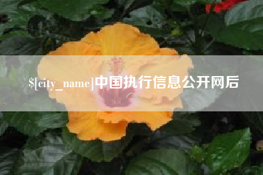 广东中国执行信息公开网后