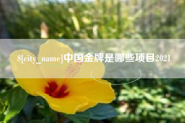广东中国金牌是哪些项目2021