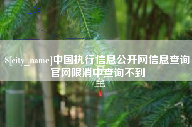 广东中国执行信息公开网信息查询官网限消中查询不到