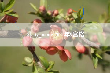 广东2021年9宫格