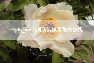 广东消防院校录取分数线