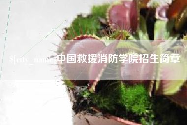 广东中国救援消防学院招生简章