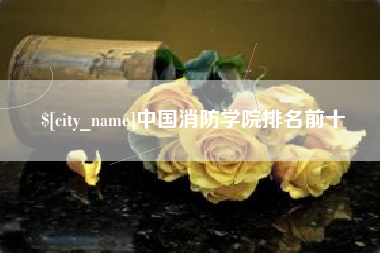 广东中国消防学院排名前十