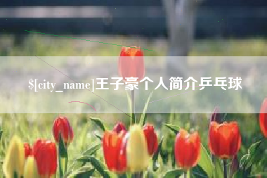 广东王子豪个人简介乒乓球
