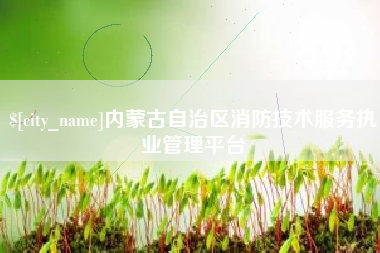 广东内蒙古自治区消防技术服务执业管理平台