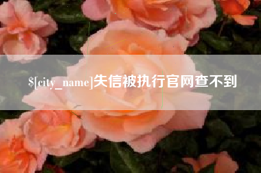 广东失信被执行官网查不到