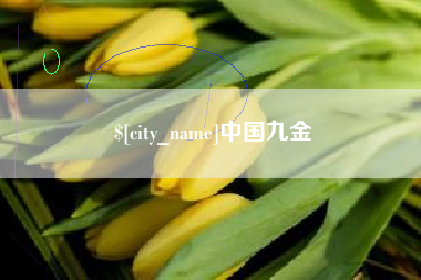 广东中国九金