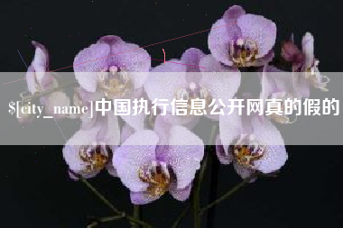 广东中国执行信息公开网真的假的