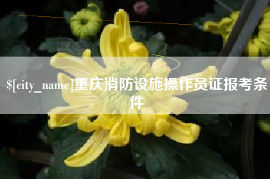 广东重庆消防设施操作员证报考条件