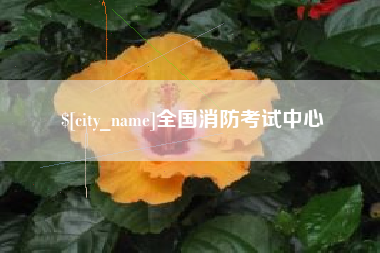 广东全国消防考试中心