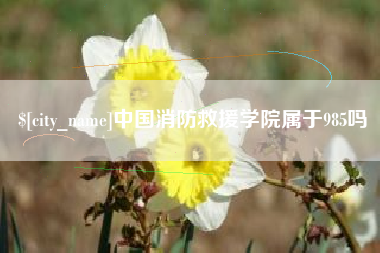 广东中国消防救援学院属于985吗
