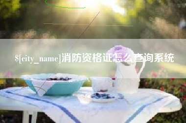 广东消防资格证怎么查询系统